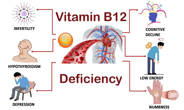 Legumes and Vitamin B12 Deficiency, A Critical Nutritional Analysis