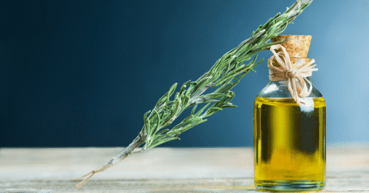 Rosemary oil strengthens memory and enhances focus: a scientific study that reveals amazing benefits of the brain