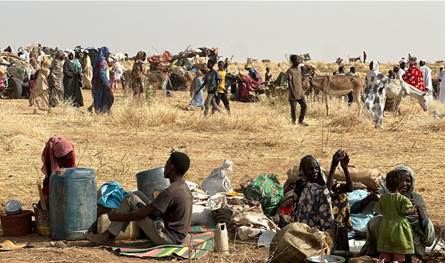 An attack on a humanitarian convoy of the World Food Program near Melt, North Darfur