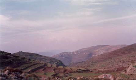 An environmental catastrophe in Shahra .. The fire devoured the rare pine and oak trees
