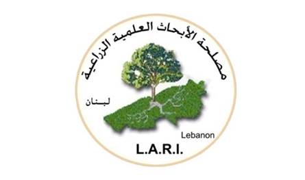 Before the rainy season … an urgent invitation to open the sewers and clean the rivers