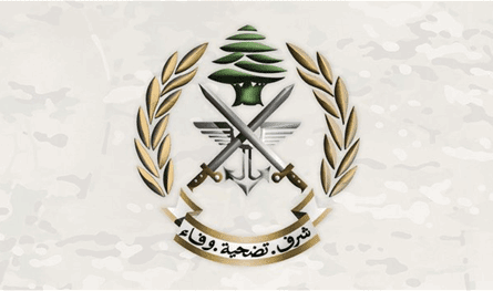 He committed a crime inside the suburb and the army stopped him .. Who is he?