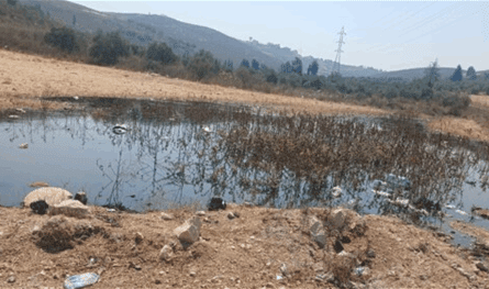 The Kfour – Nabatiyeh launches a distress call: sewage streams destroy crops