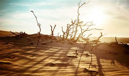 The year 2026 will be the worst and most dangerous .. Lebanon is facing climatic challenges and an expert that beats the alarm