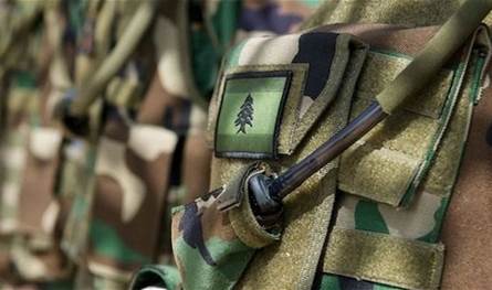 After receiving a quantity of weapons from the Palestinian camps … this is what the army (photos) announced