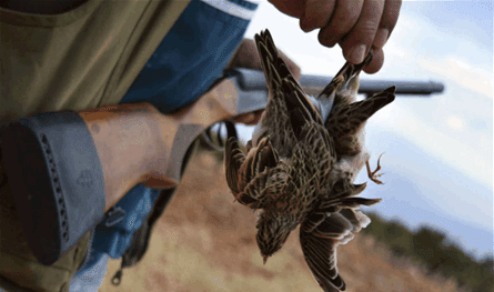 Between the Ministry of Environment’s denial and the welcoming of the bottom municipality: the wild fishing season is suspended on the Supreme Council