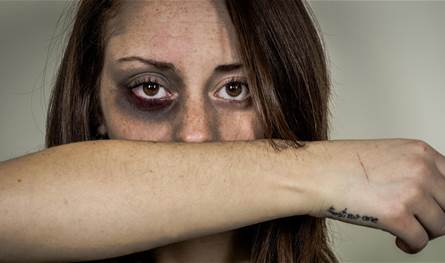 How many complaints about the cases of domestic violence reached for the month of August?