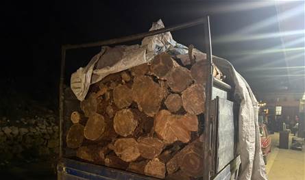 In the inventory of Al -Qayta – Akkar .. The Ministry of Agriculture confiscates Beck August with illegal broken firewood