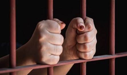 In the picture: It is suspended by the crime of theft .. Is it who fell into its victim?