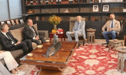 Jumblatt received Francois Holland