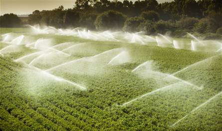 Lebanon towards smart agriculture .. A workshop between the Ministry of Technology and Agriculture Affairs
