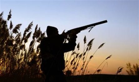 Regarding wild fishing … a generalization of interior and agriculture