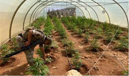 The army faces gunfire and seizes weapons … a statement reveals what happened in Baalbek! (photo)