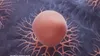 A “revolutionary” blood test detects cancer 10 years before it appears