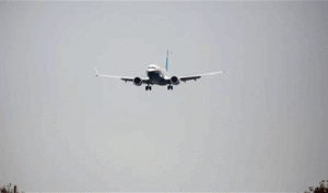 A woman forcing a plane to make an emergency landing … Here is what she did