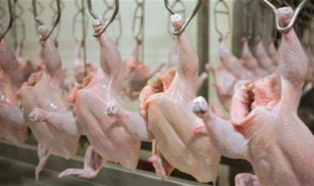 In this region, two illegal slaughterhouses were seized and sealed with red wax