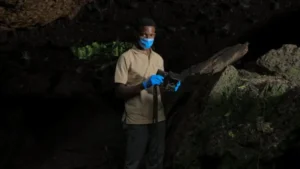 A network of bats reveals potential threats to Marburg virus