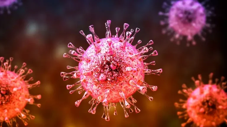 A study reveals: an increase in deaths due to cancer during the first wave of the Corona pandemic