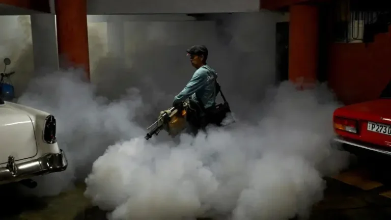 Alarming information: The possibility of an outbreak of deadly chikungunya fever in 29 countries