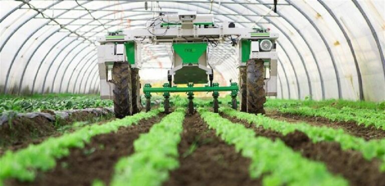 Demand from the Federation of Farmers’ Unions for concrete measures to protect agricultural lands in the south