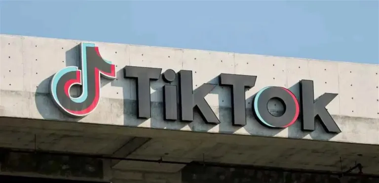 TikTok returns to steady growth after users’ concerns about privacy policy