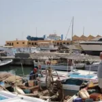 Unanimous approval of amendments to the Fishing Law by the Fishermen’s Committee