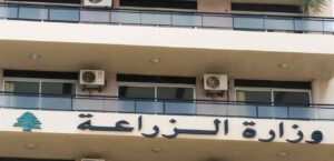 Agriculture warns: strict measures against monopoly practices to protect consumers from high prices