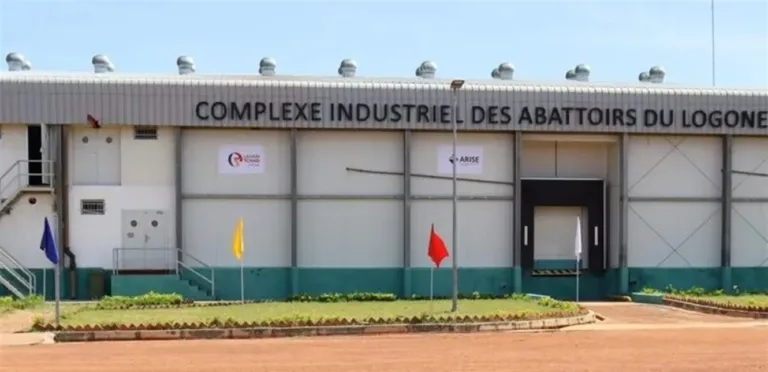 Arise plans to invest $3 billion in Kenya over 5 years