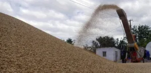 Jordan: A deal to buy 50,000 tons of barley at a price of $260.50 per ton