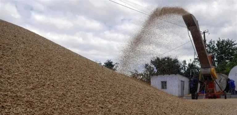 Jordan: A deal to buy 50,000 tons of barley at a price of $260.50 per ton