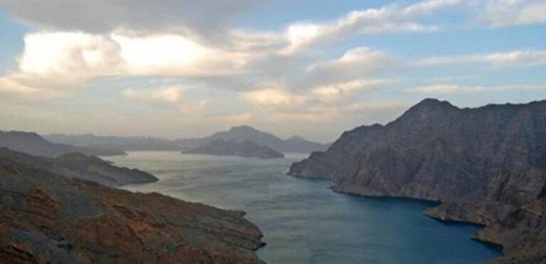 Serious repercussions: The suspension of shipping traffic in the Strait of Hormuz casts a shadow over the global economy