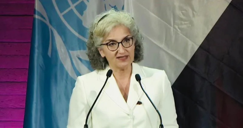 Karami calls on the international community to work to neutralize schools from conflicts