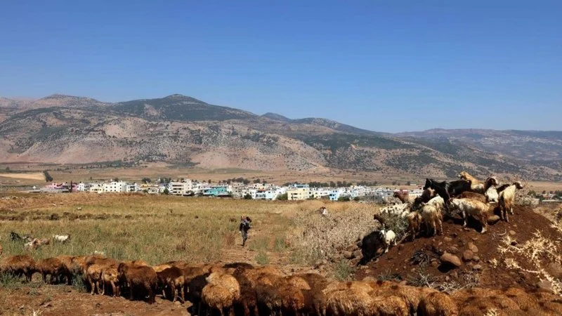 In light of the truce in effect: the municipality of Al-Mari and Al-Majidiya demands permission to access agricultural lands