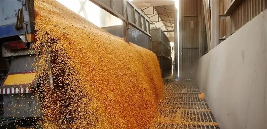 Prices of wheat, soybeans and corn fell on the Chicago Stock Exchange due to slowing demand for exports