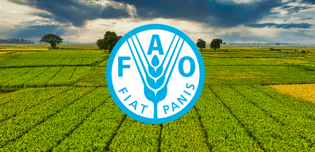 FAO in Lebanon: expresses its condolences to the victims and stresses continued support for agriculture