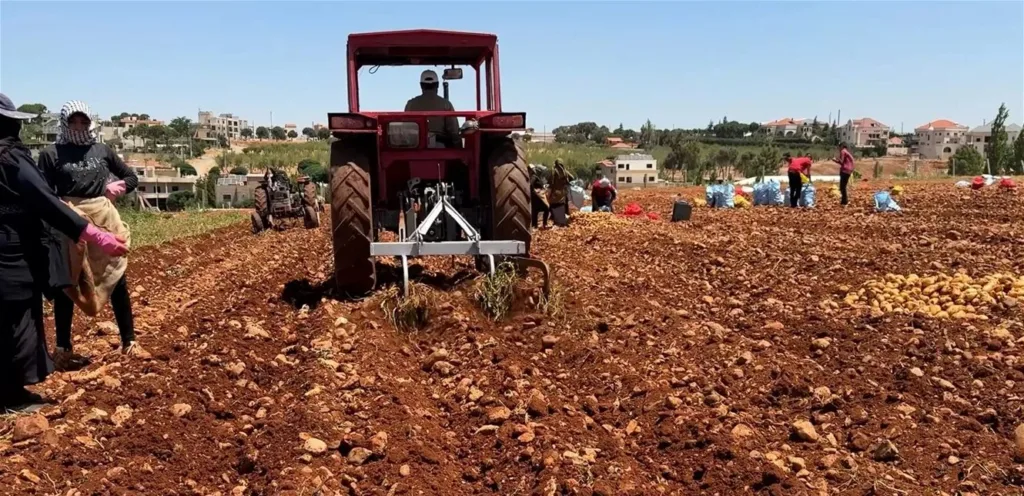 The war casts a heavy shadow on the agricultural sector in Lebanon: shocking numbers!
