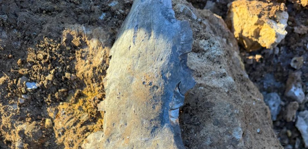 A noteworthy matter: Who was the first to arrive at the targeting site in Mar Roukoz?