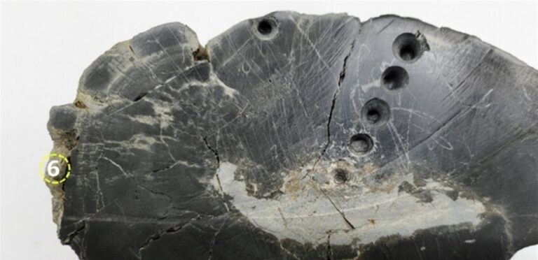 In a meteorite crater… traces of life containing extraterrestrial matter were found