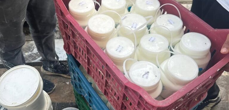 In Lebanon.. the owners of two dairy and cheese production factories were arrested!