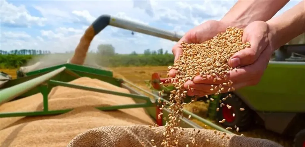 Jordan enhances its strategic stock by purchasing 60,000 tons of wheat