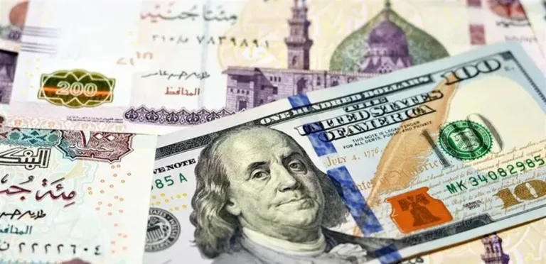 A strong jump for the Egyptian pound against the dollar amid the global decline in oil