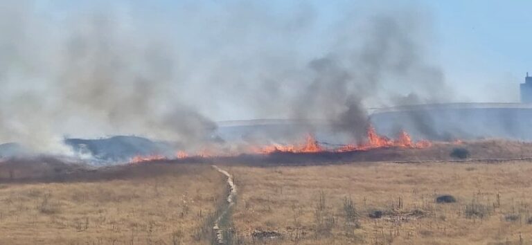 Despite the ceasefire… martyrs, raids, and burning of homes in the south