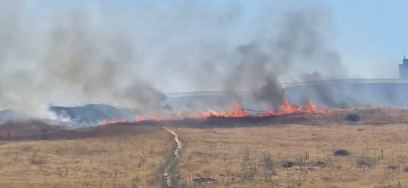 Despite the ceasefire… martyrs, raids, and burning of homes in the south