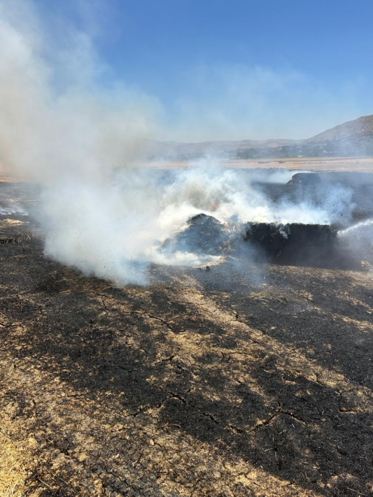 Fire devours a wheat field in Jub Jenin… and Civil Defense intervenes