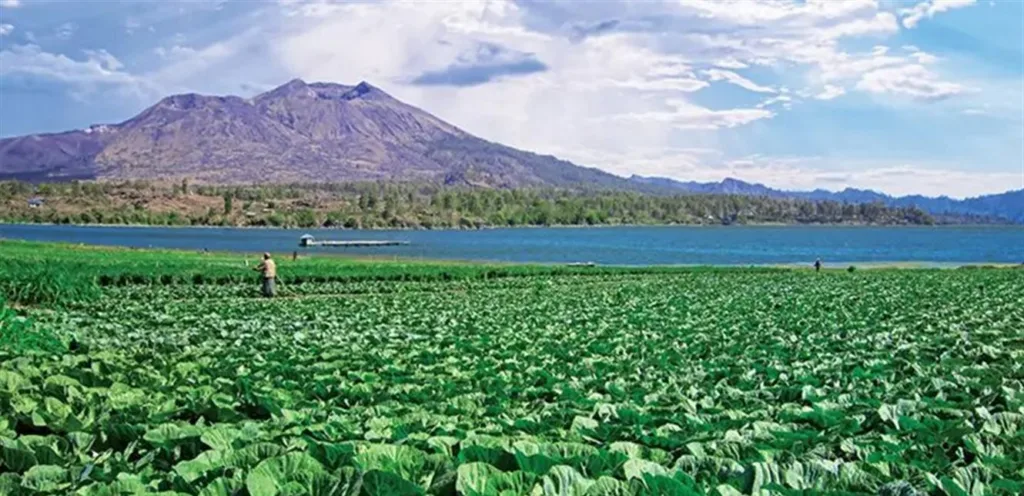 Indonesia is betting on villages to launch its economic renaissance