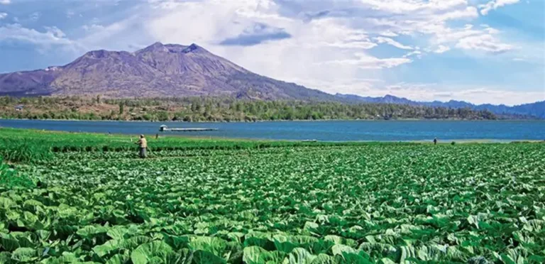 Indonesia is betting on villages to launch its economic renaissance