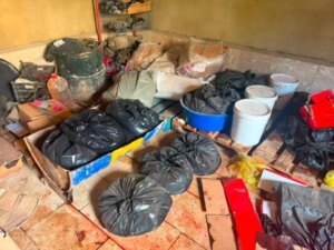 A counterfeiting operator falls into the grip of “Reggie”… adulterated honey and smuggled cigarettes