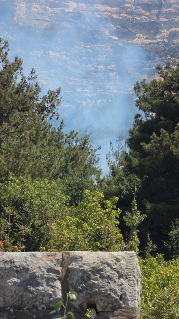 The forests of Ehden are on fire again… Civil Defense is in a race with the flames