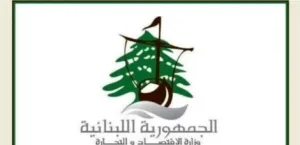 A campaign against illegal generators in Tripoli and Al-Mina