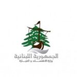 Ministry of Economy: 49 percent of all seizure reports targeted electric generators